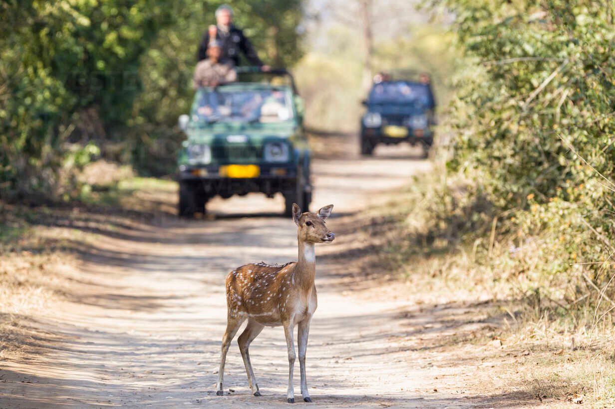 Natural beauty around Jim Corbett